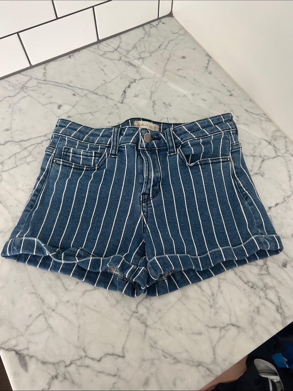 Altar'd State Navy Blue Striped Denim Shorts